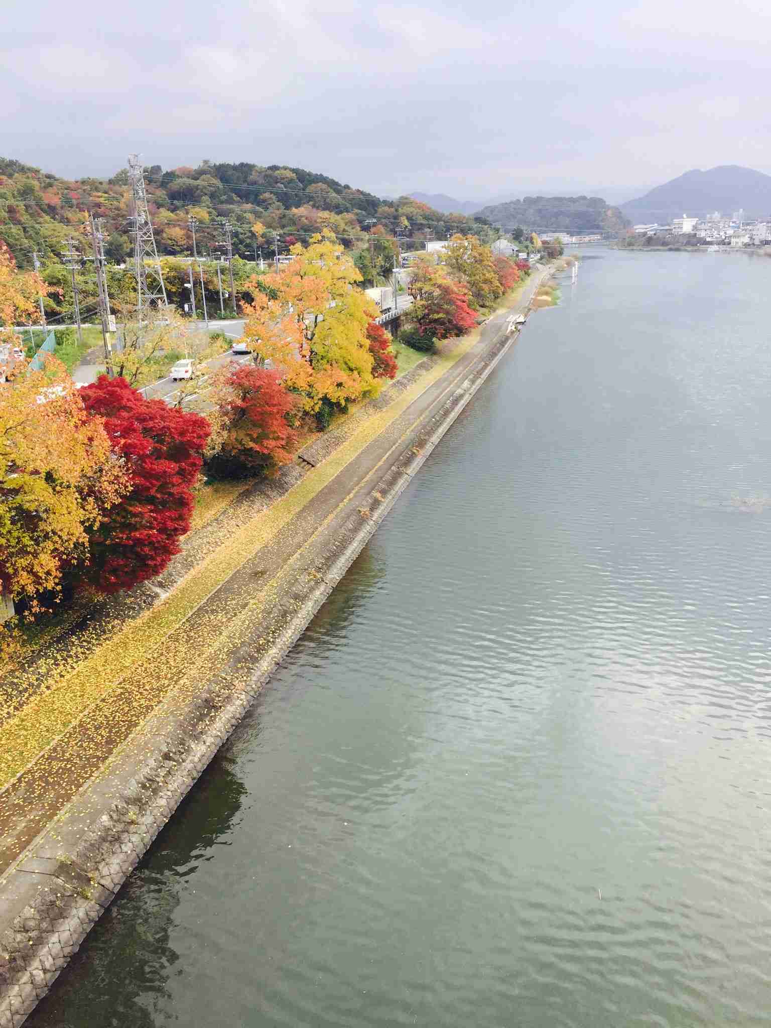上手に撮れた!お気に入り写真を見せて下さい☆