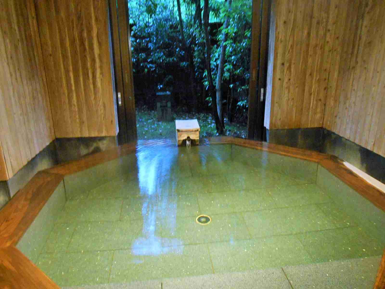 上手に撮れた!お気に入り写真を見せて下さい☆