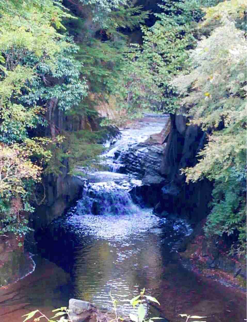 上手に撮れた!お気に入り写真を見せて下さい☆