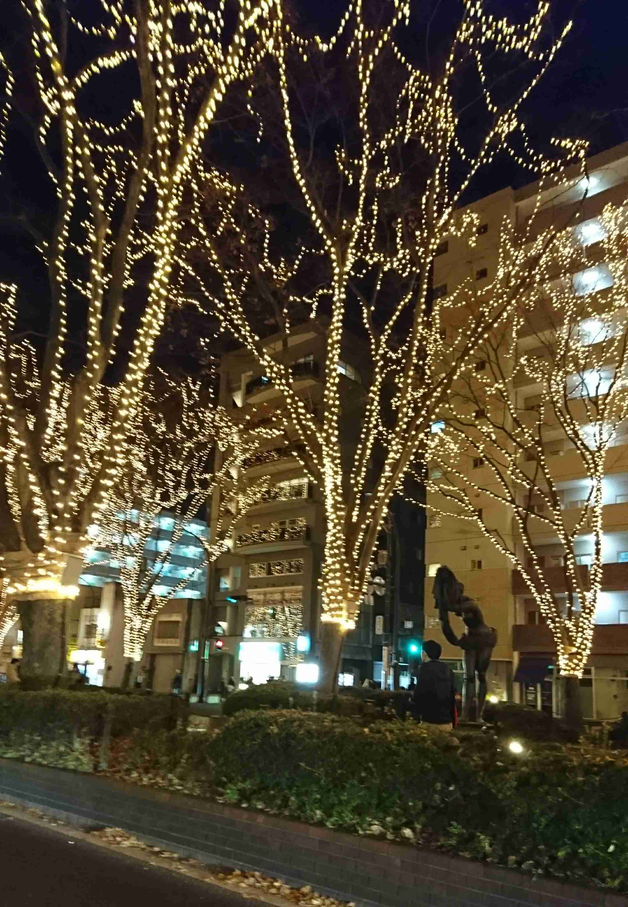 上手に撮れた!お気に入り写真を見せて下さい☆