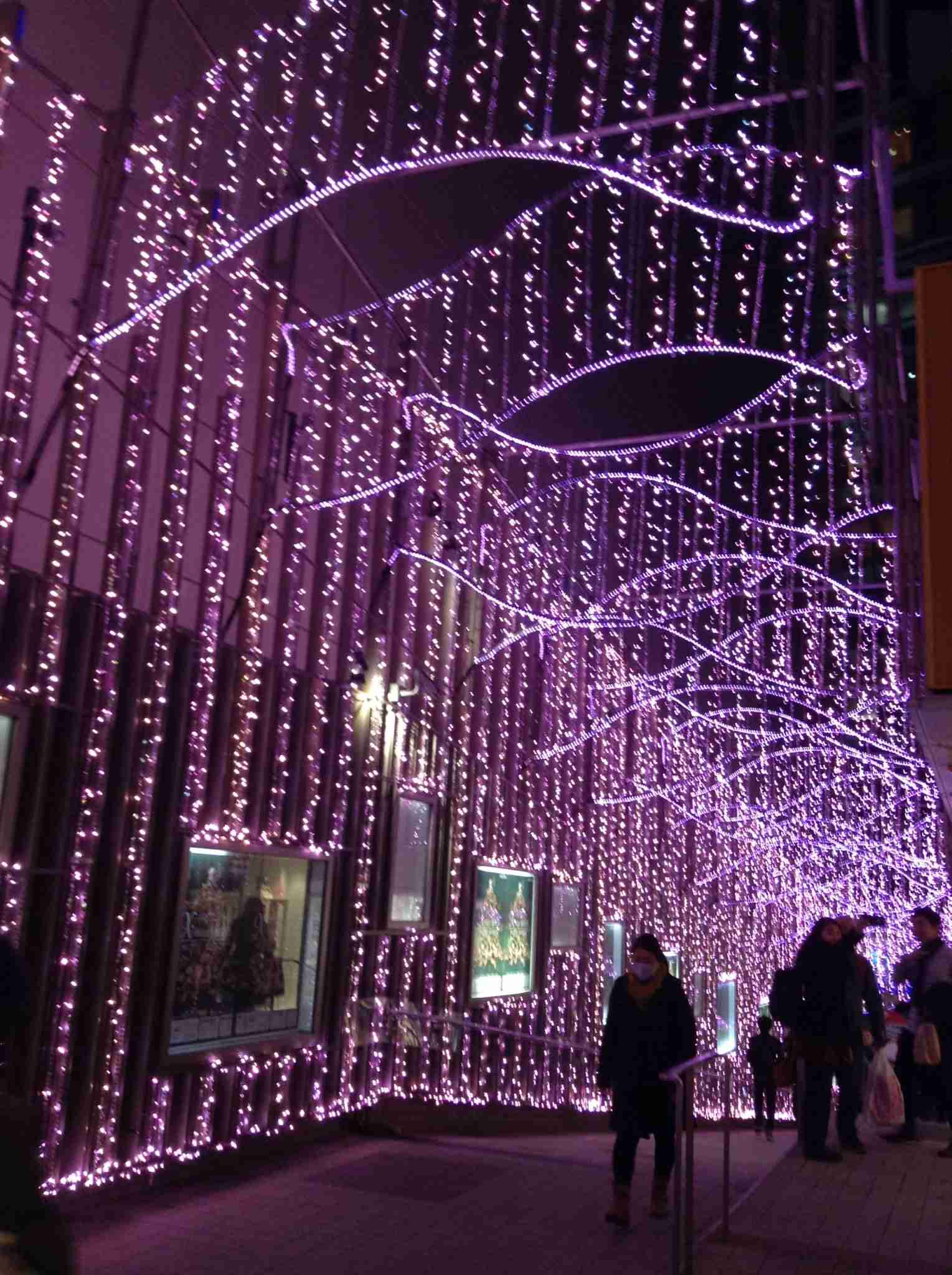 上手に撮れた!お気に入り写真を見せて下さい☆