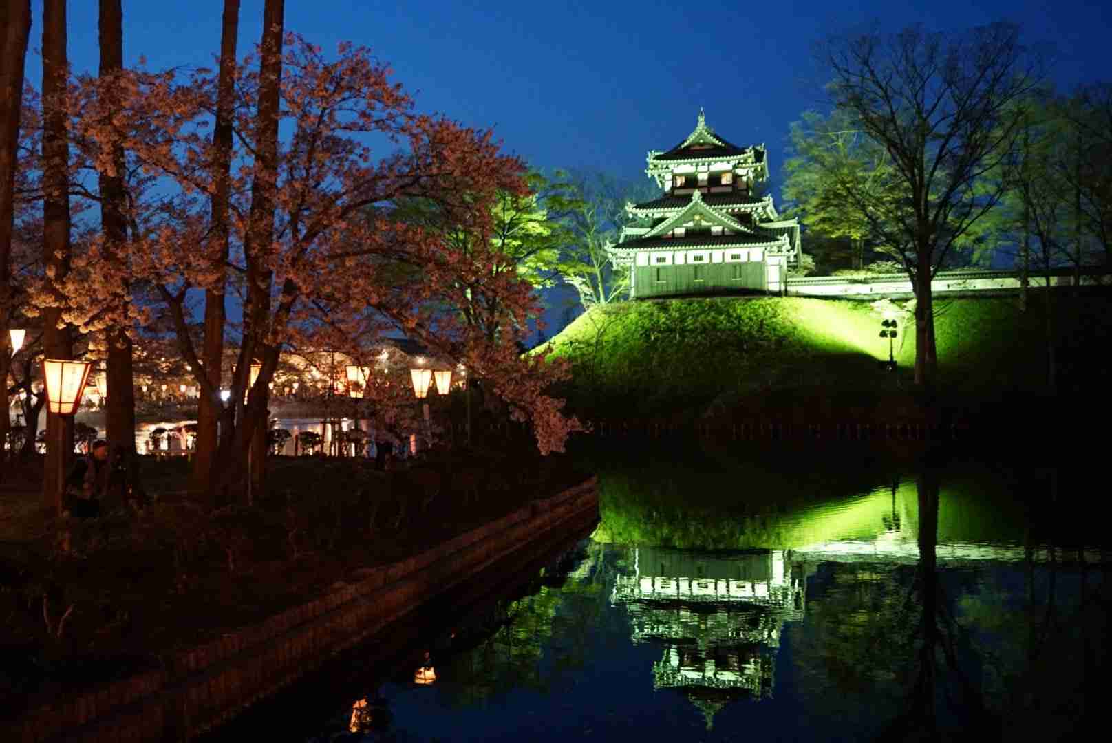 上手に撮れた!お気に入り写真を見せて下さい☆