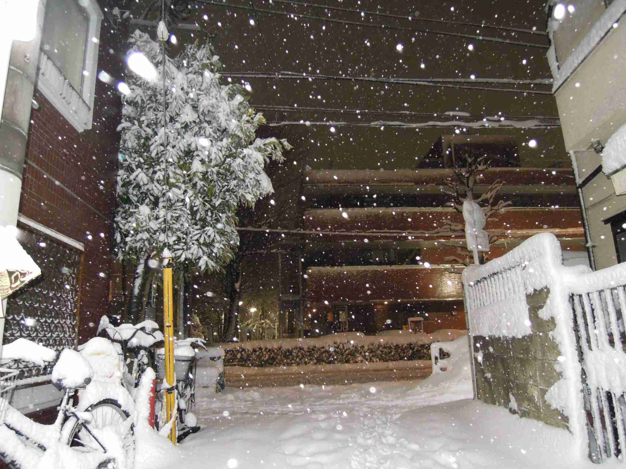 上手に撮れた!お気に入り写真を見せて下さい☆