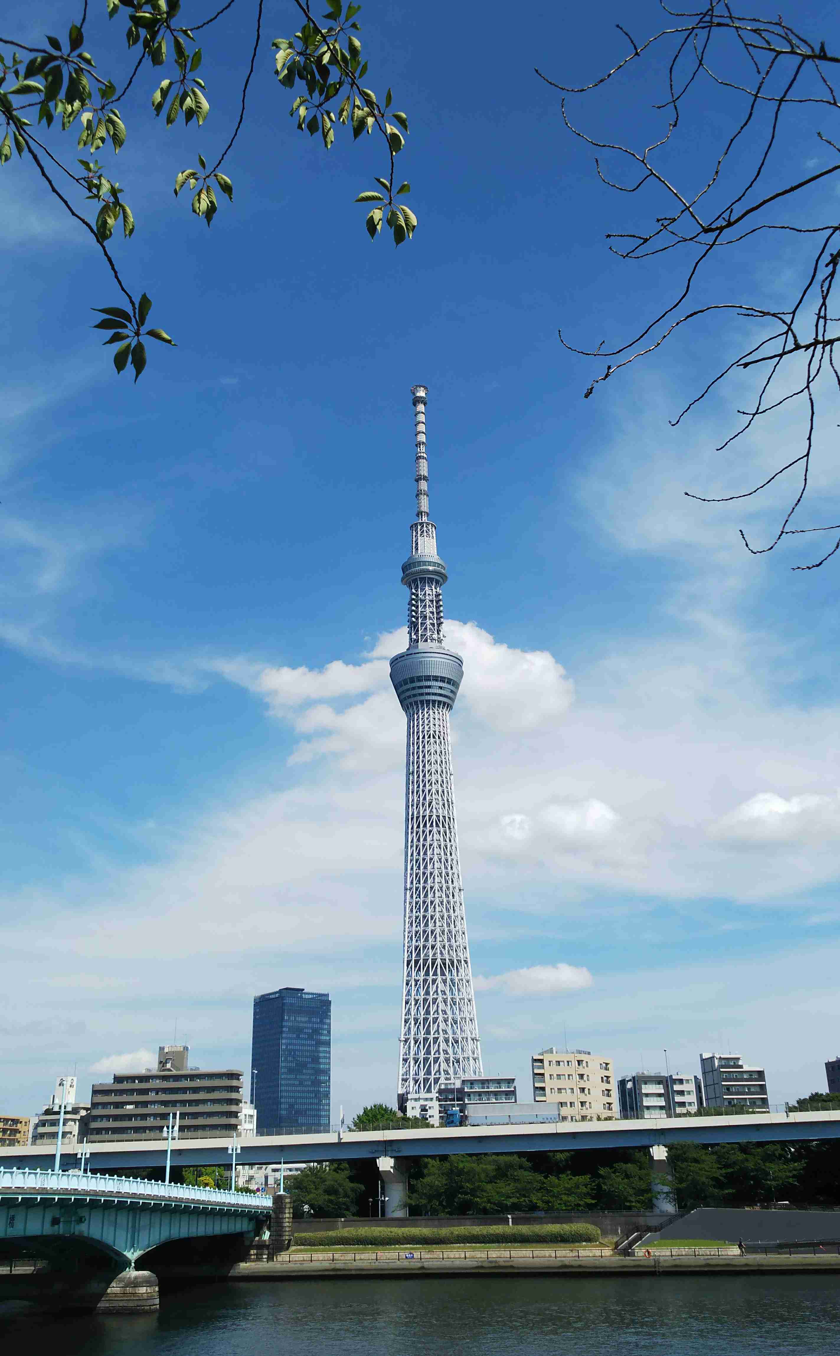 上手に撮れた!お気に入り写真を見せて下さい☆