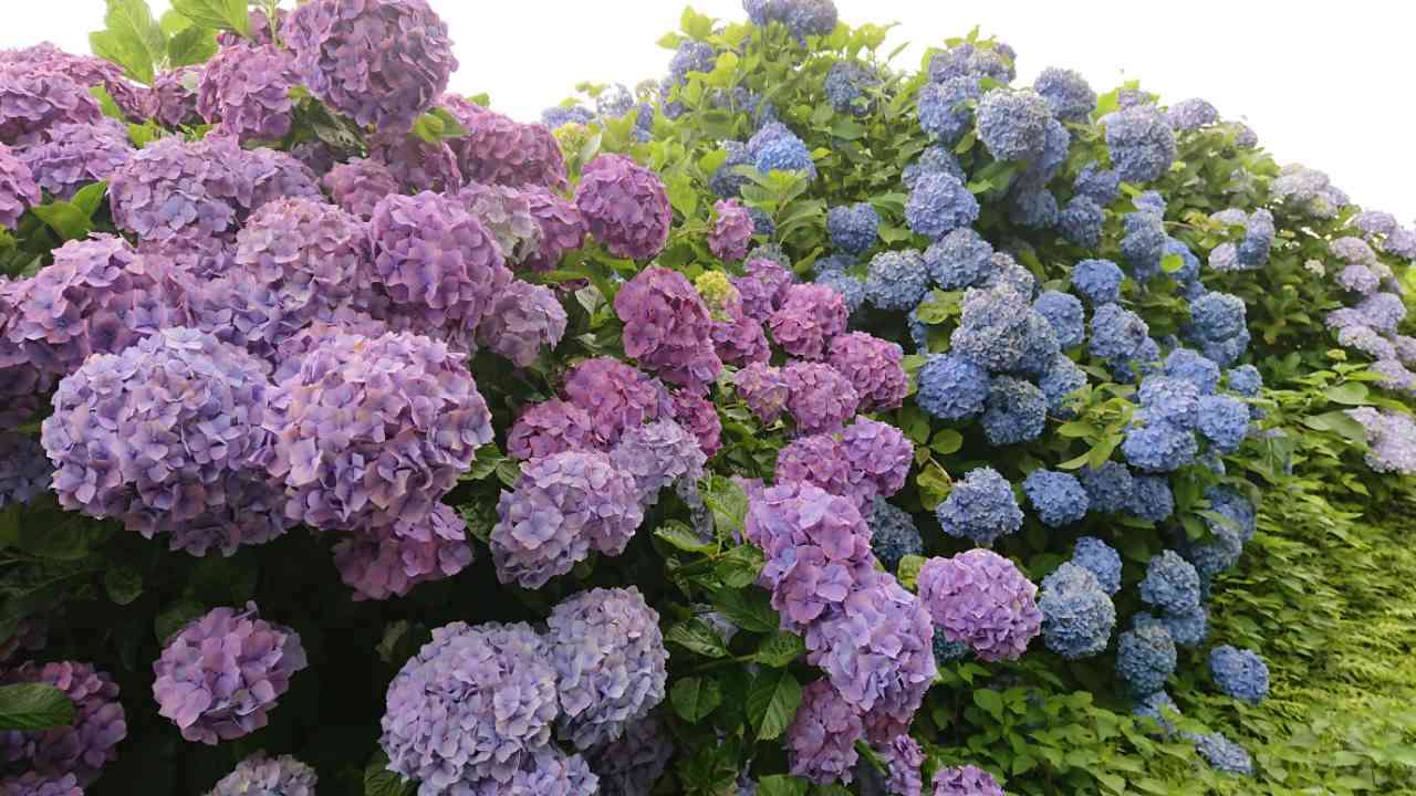 上手に撮れた!お気に入り写真を見せて下さい☆