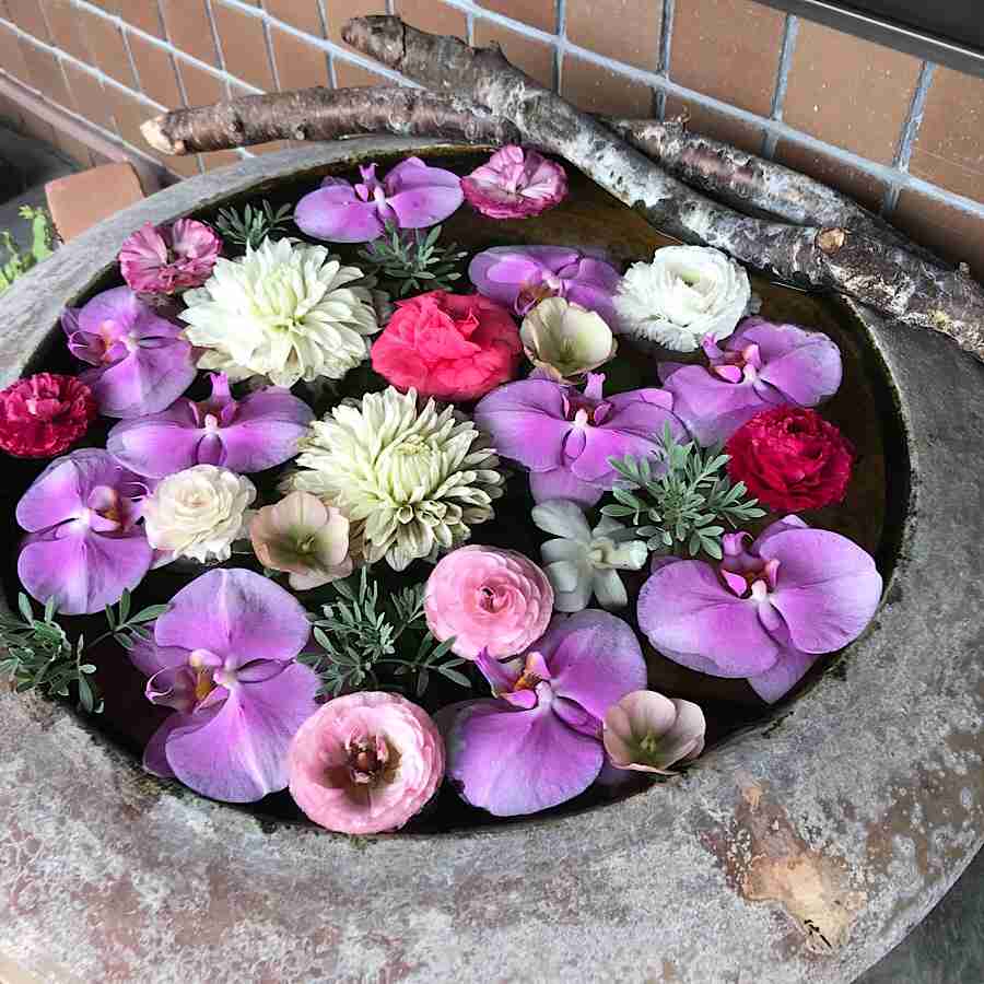 上手に撮れた!お気に入り写真を見せて下さい☆
