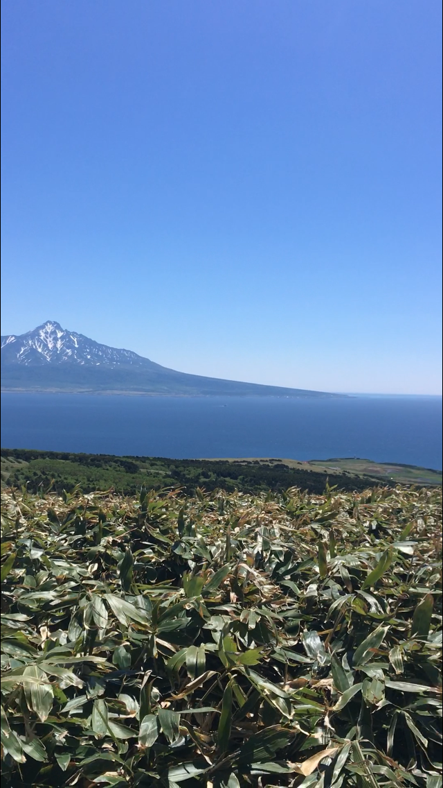 上手に撮れた!お気に入り写真を見せて下さい☆