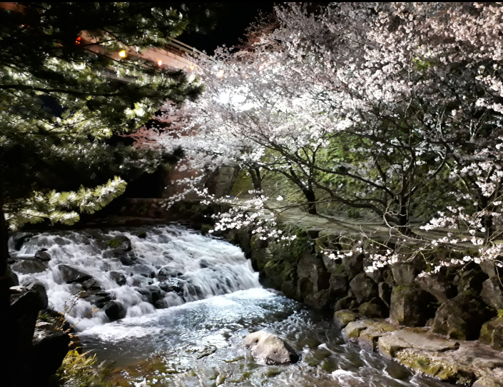 上手に撮れた!お気に入り写真を見せて下さい☆