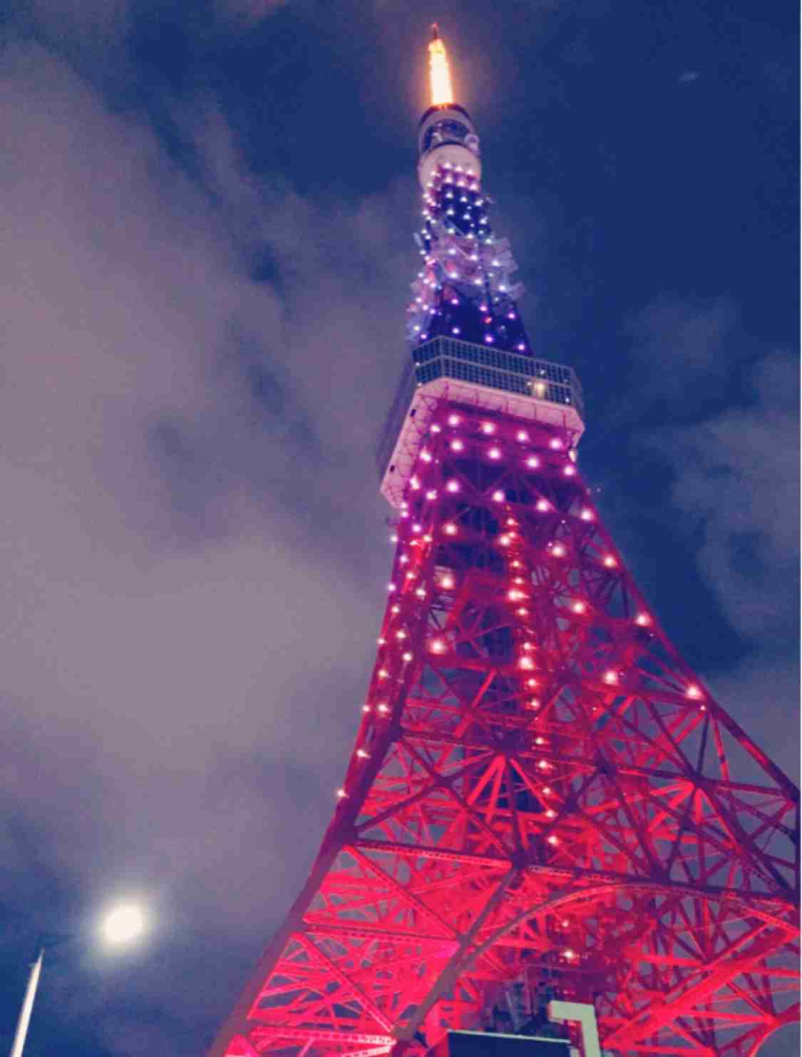 上手に撮れた!お気に入り写真を見せて下さい☆