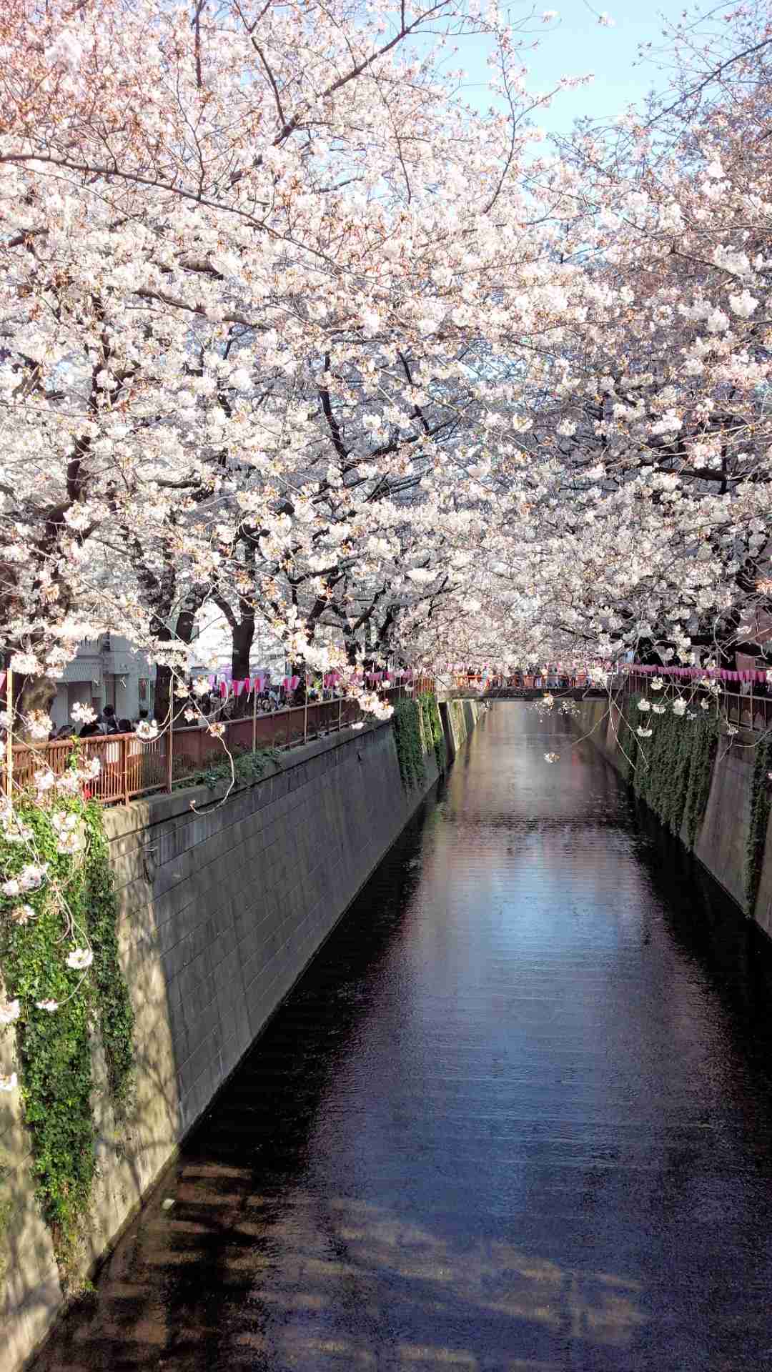 上手に撮れた!お気に入り写真を見せて下さい☆