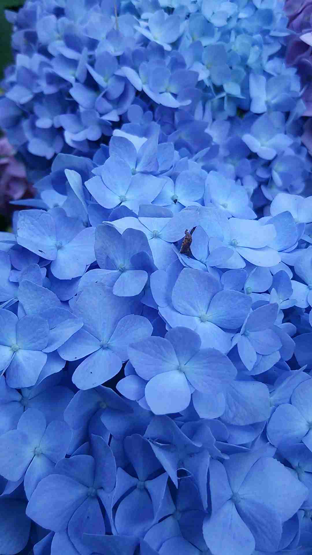 上手に撮れた!お気に入り写真を見せて下さい☆