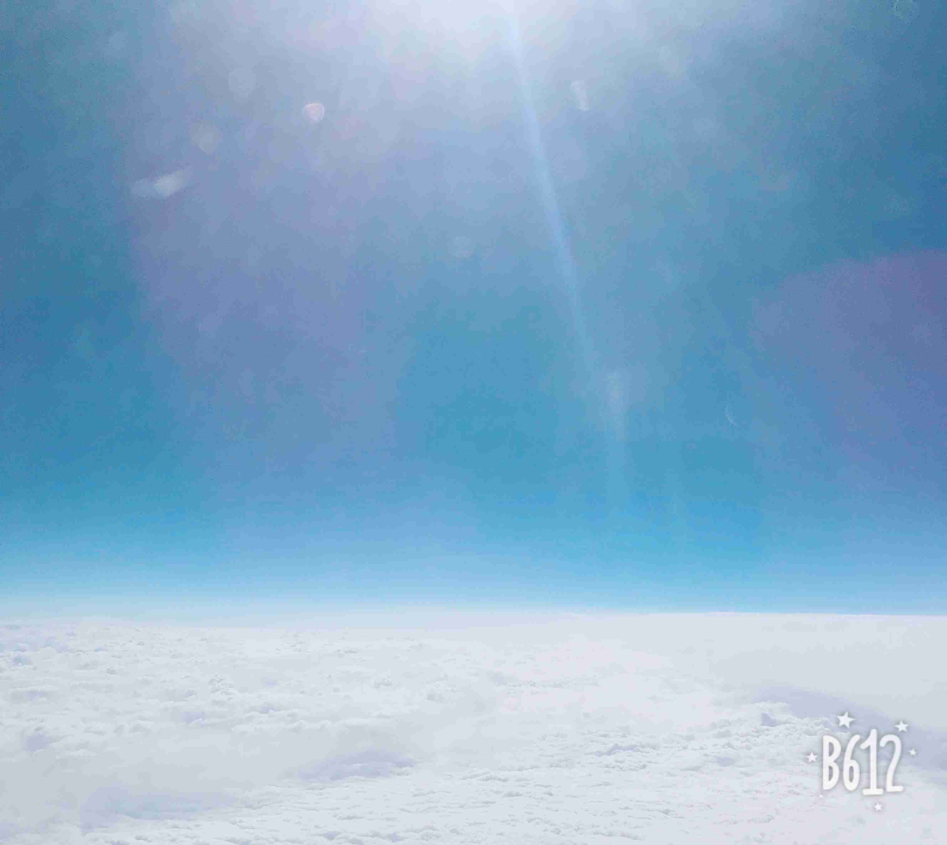 上手に撮れた!お気に入り写真を見せて下さい☆