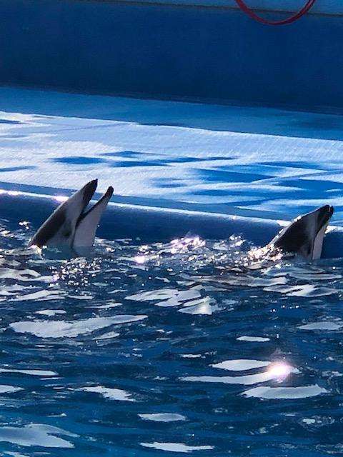 上手に撮れた!お気に入り写真を見せて下さい☆