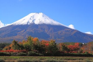 自分のあだ名を発表するトピ