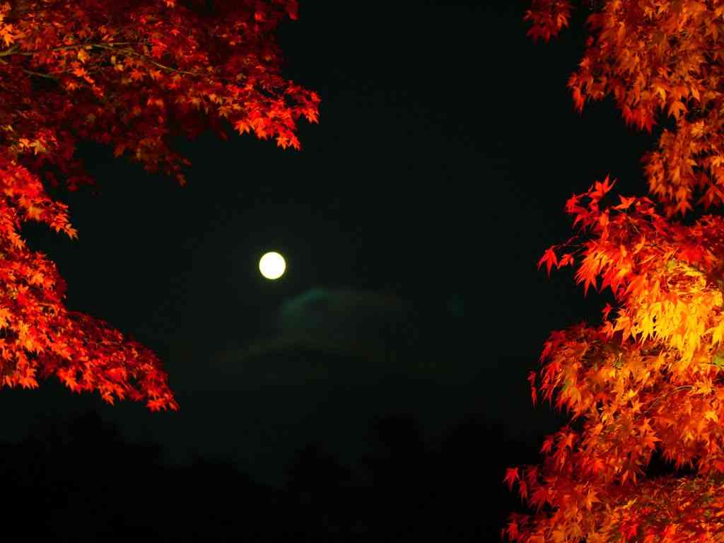 自分の価値は何ですか？