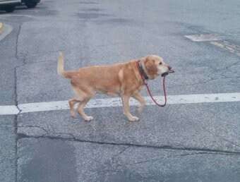 心の中でツッコミ入れた瞬間