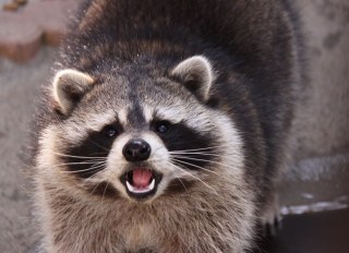 驚いたカミングアウト