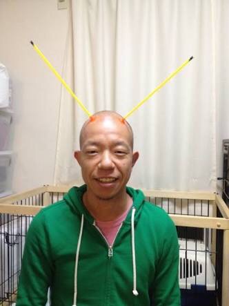 男性が使う一人称は「俺」、「ぼく」どちらが好き？