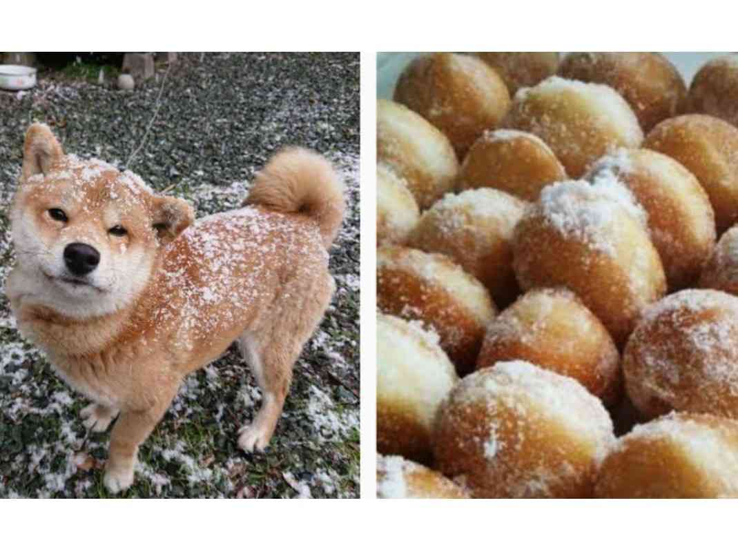 自分の携帯に入っている一番最新の食べ物画像を貼るトピ