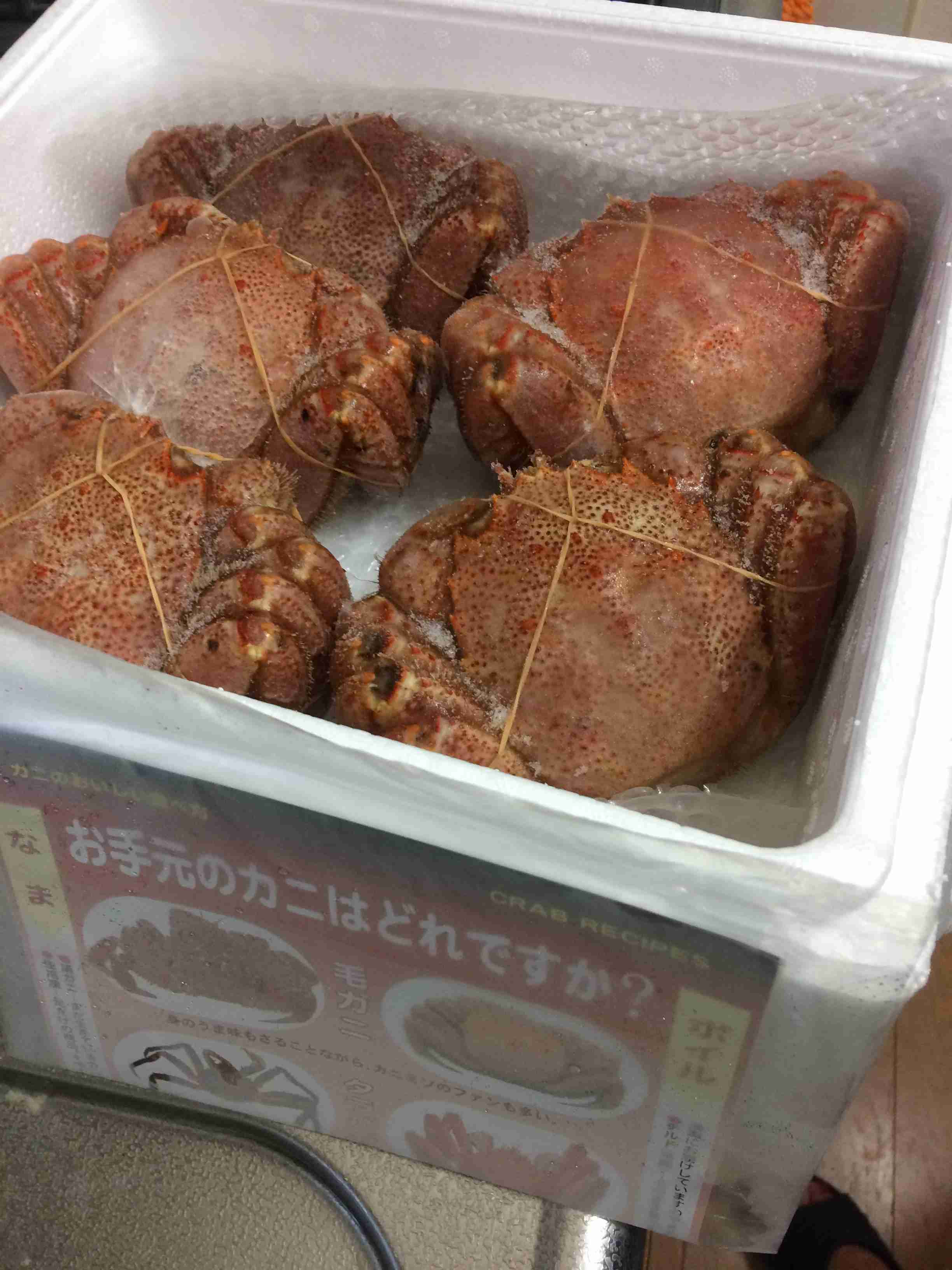 自分の携帯に入っている一番最新の食べ物画像を貼るトピ