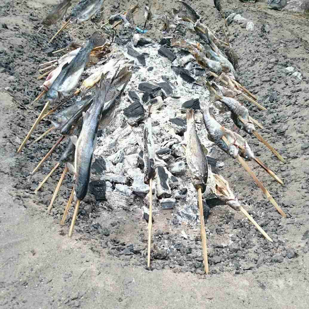 自分の携帯に入っている一番最新の食べ物画像を貼るトピ