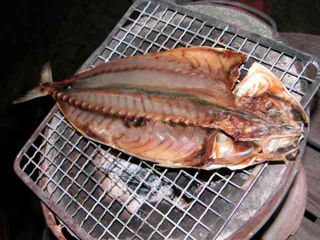虫よけのオススメ