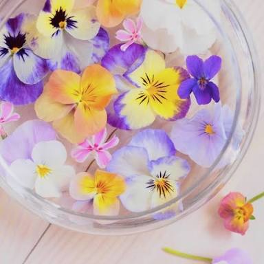 知ってる花の画像と花の名前