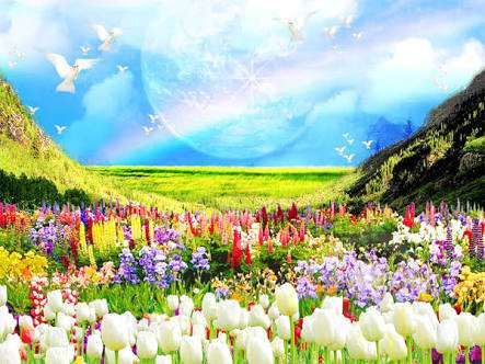 知ってる花の画像と花の名前