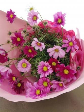 知ってる花の画像と花の名前