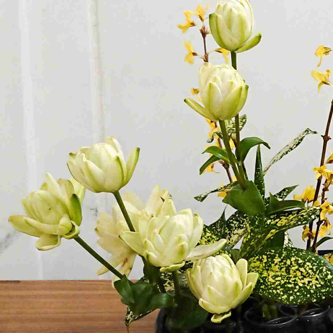 知ってる花の画像と花の名前