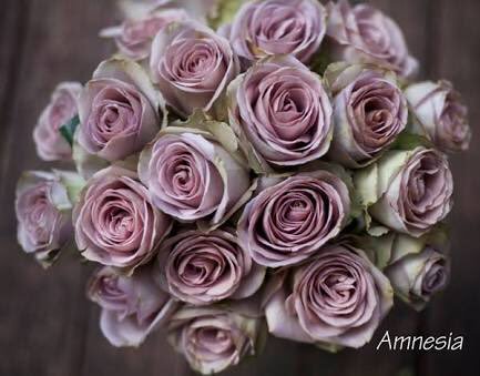 知ってる花の画像と花の名前