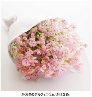 知ってる花の画像と花の名前