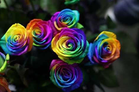 知ってる花の画像と花の名前