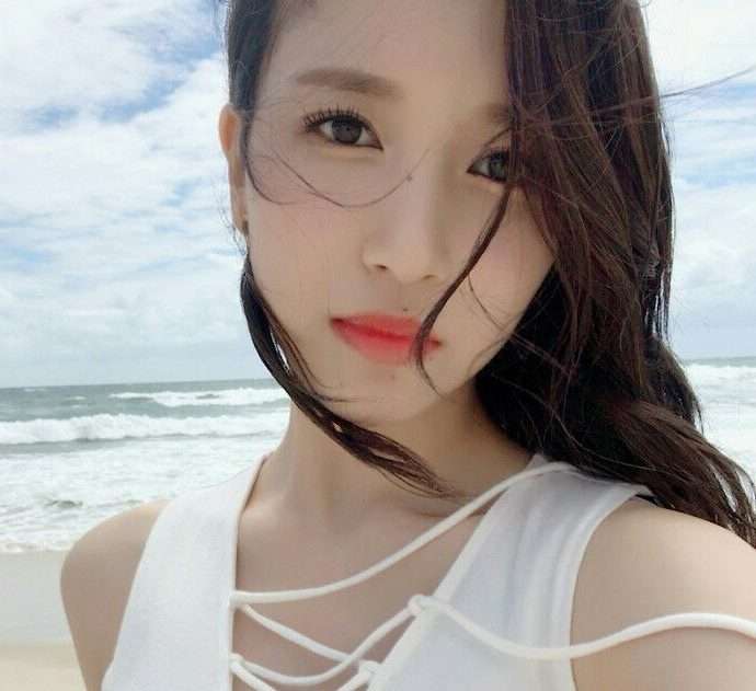 美しい鼻の形を貼るトピ【画像】【鼻フェチ】