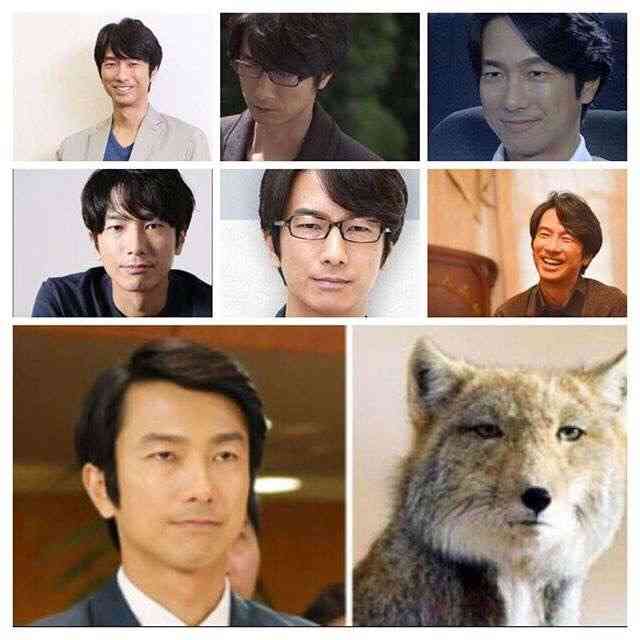【毛量】髪の毛が多い人集まれ〜