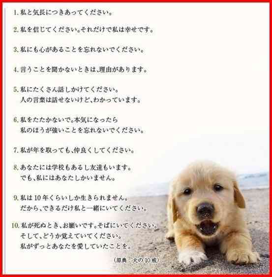 わんこ初心者にアドバイスください!