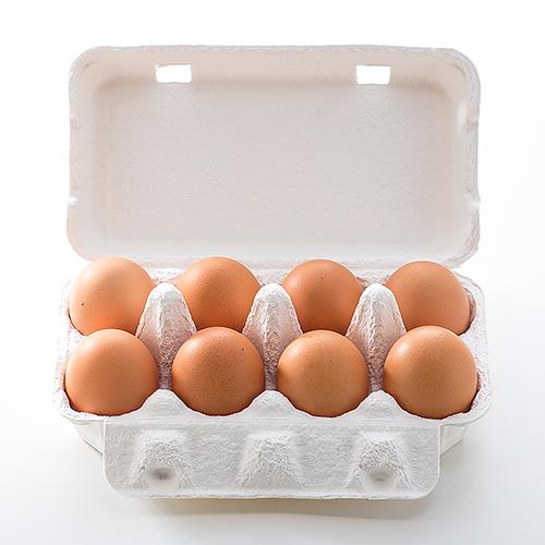 ビッグダディ元妻美奈子が第8子妊娠「まさか…」