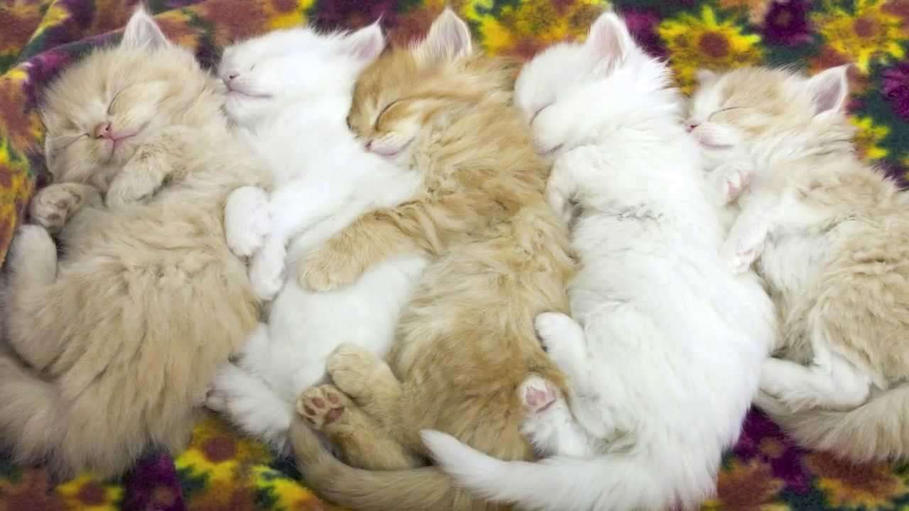 【地震】大阪北部で震度6弱