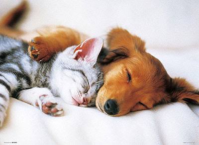 【地震】大阪北部で震度6弱