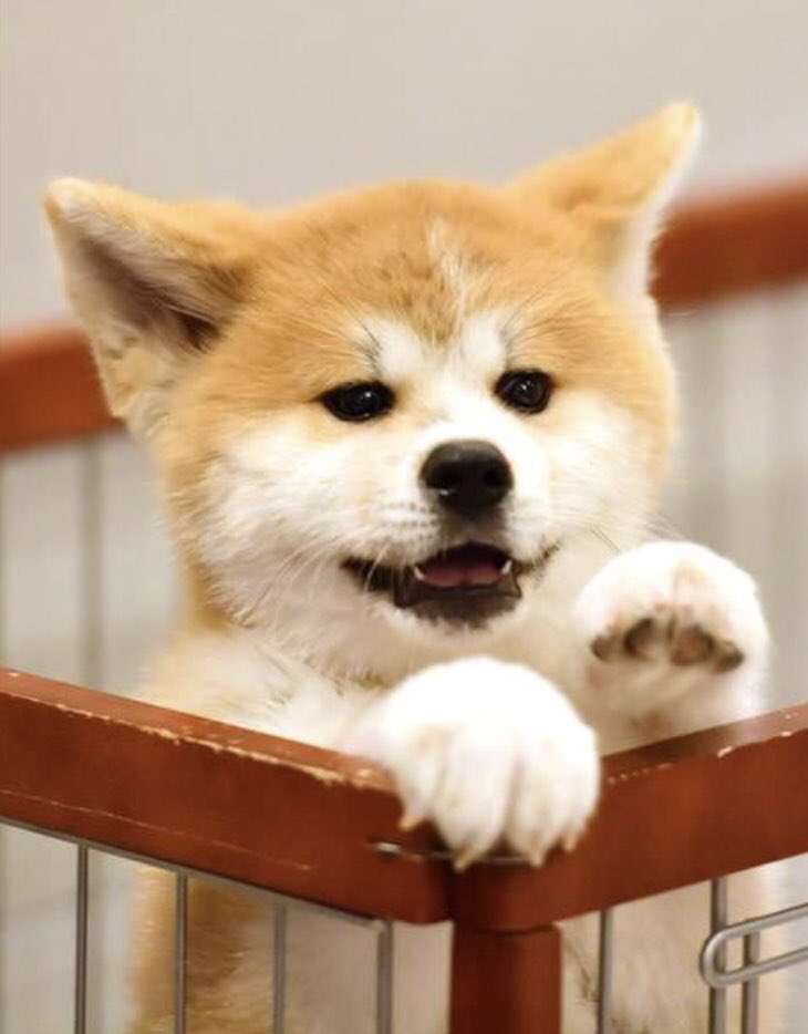 【地震】大阪北部で震度6弱