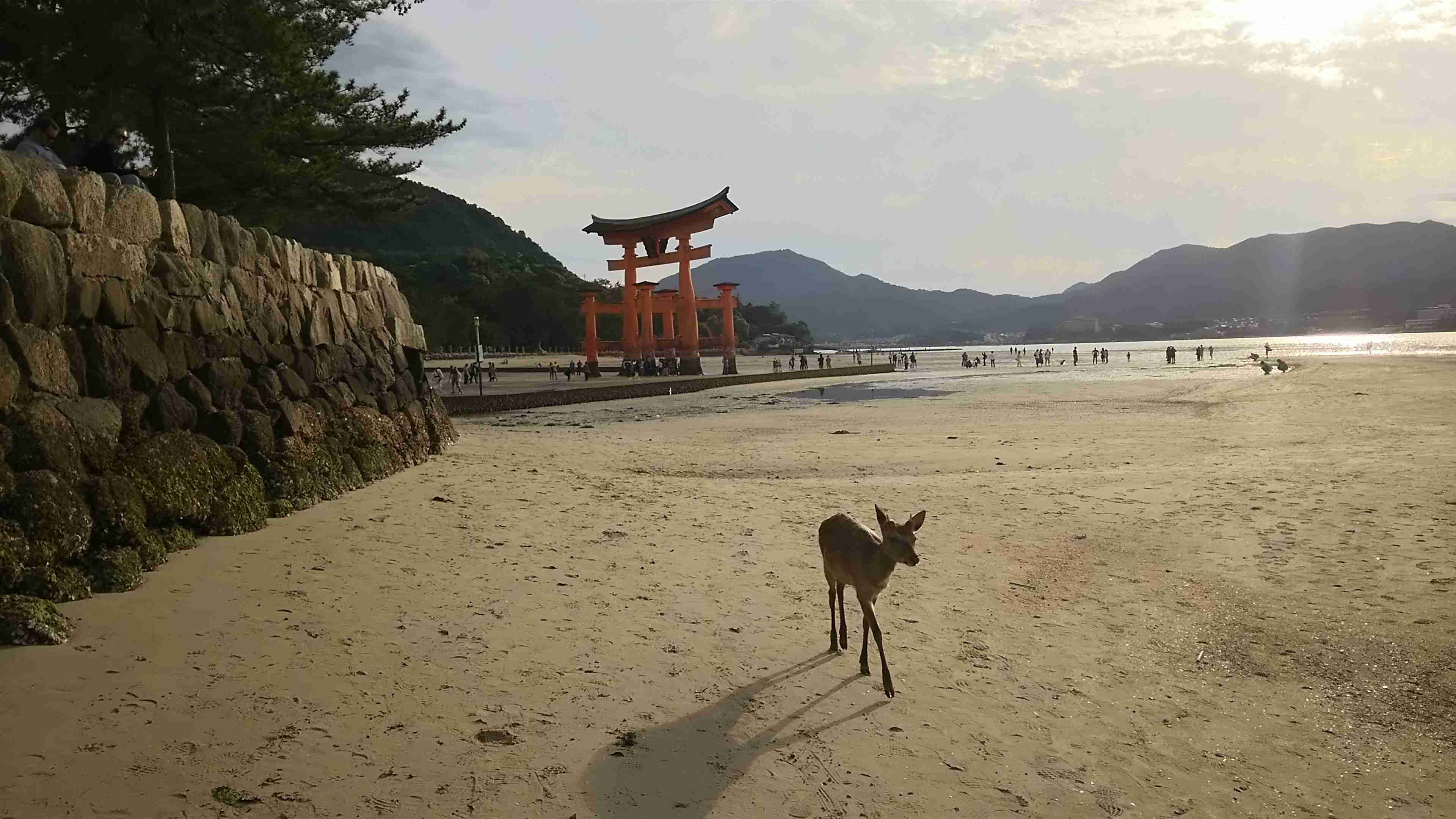 国内旅行で最高だった場所、宿