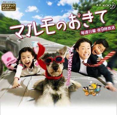 好きなW主演のドラマ、映画といえば