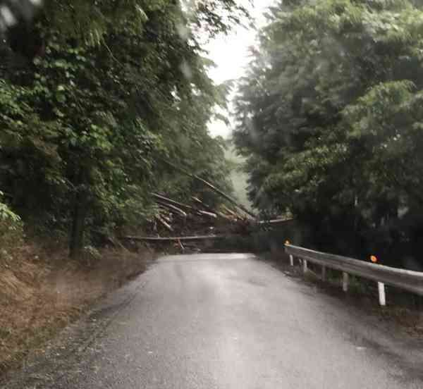 【大雨浸水被害】情報共有しませんか？