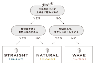 女性芸能人の骨格診断