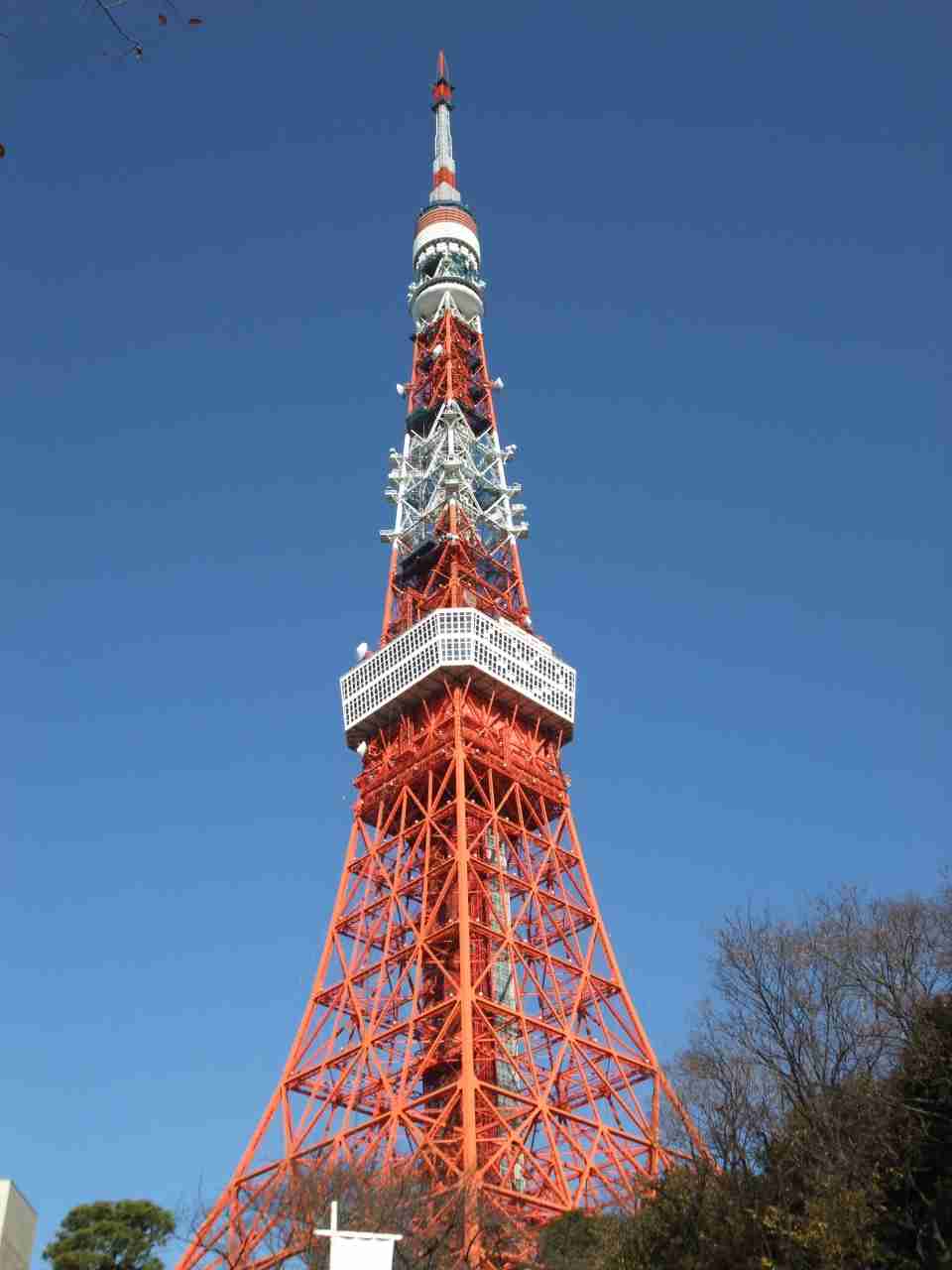 東京に来てビックリした事はなんですか?