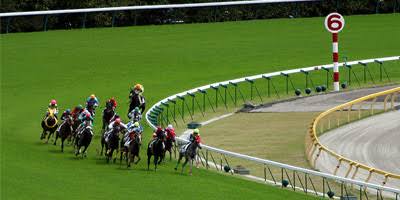 人生で1番後悔してることはなんですか ガールズちゃんねる Girls Channel