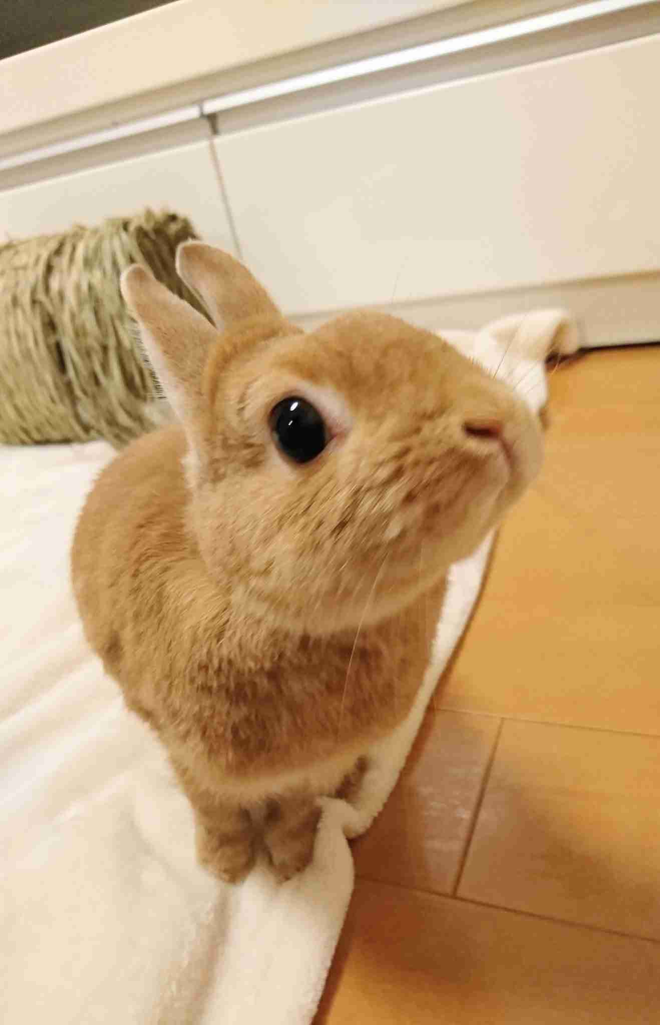 サイゼリヤのオススメ