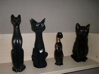 紛れちゃってる画像を貼るトピ