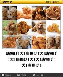 紛れちゃってる画像を貼るトピ
