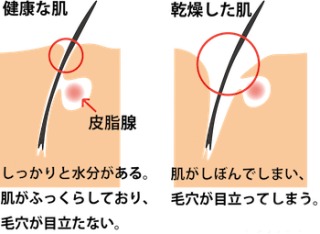 スキンケア総合